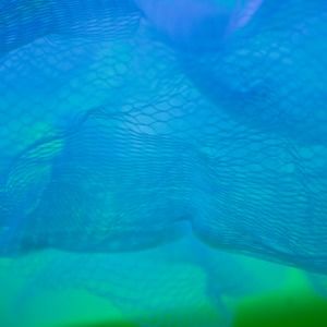 Meet your Posher, Shayna